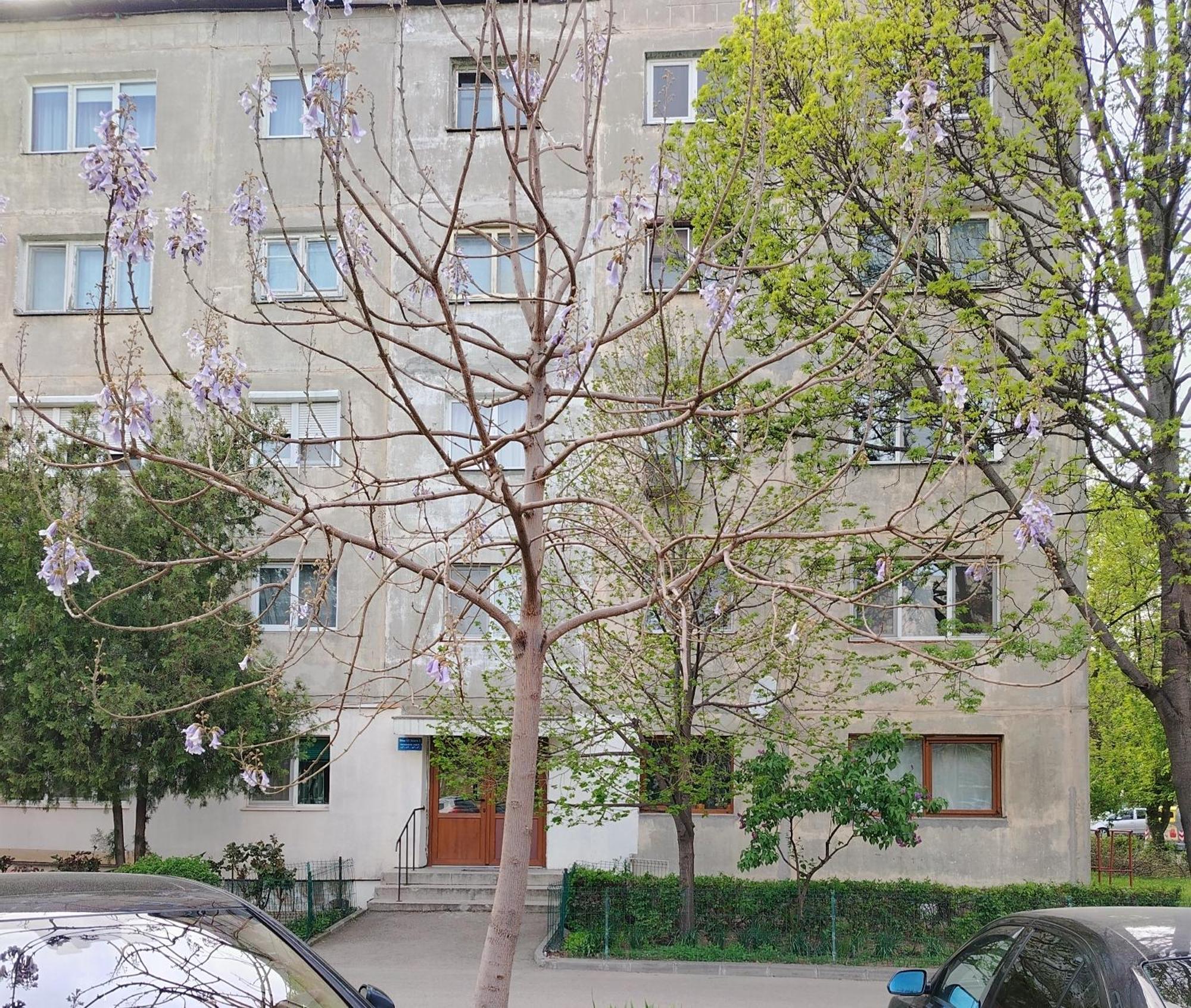 Arka Apartment ไกรโอวา ภายนอก รูปภาพ